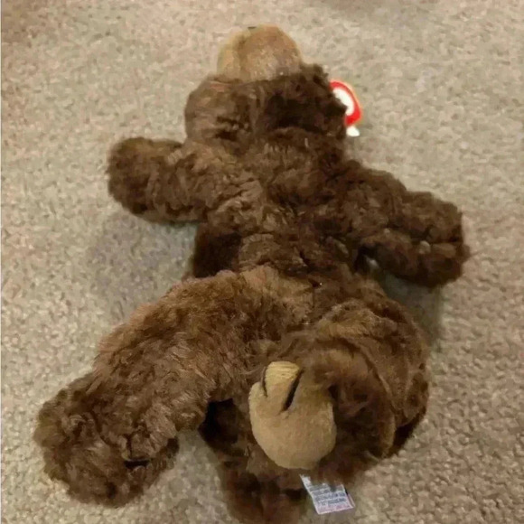 Large Beanie Baby Cocoa The Brown Bear 1996 - Picture 5 of 7